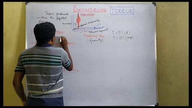 Biomechanics. Torque.