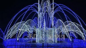 Евпатория. декабрь 2024