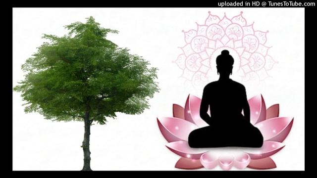 तीर्थ _ परम की गुह्म यात्रा । #spirituality #meditation #jesus #life #india смотреть онлайн