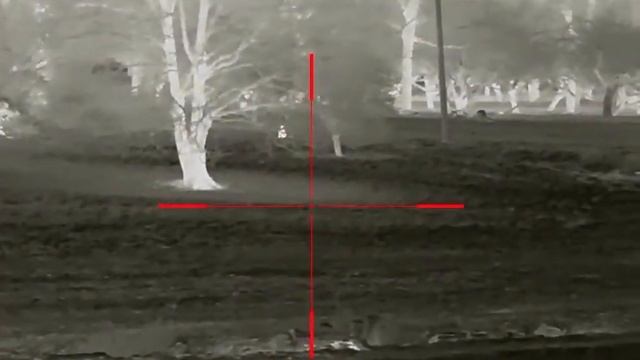 Real Life Ranges -Foxing Compilation Footage from InfiRay Rico RH50 LRF Thermal Scope смотреть онлайн