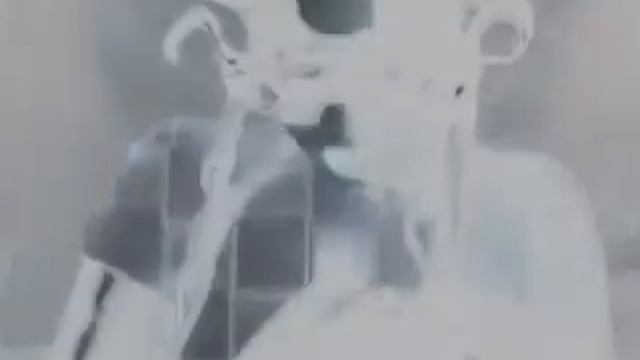 Spoonfed Tribe      P235/75R15