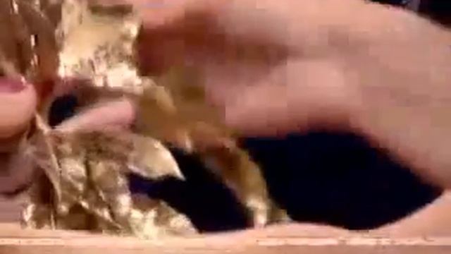 floraclay смотреть онлайн