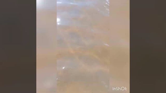 солнце, воздух и вода - мои лучшие друзья ⛅