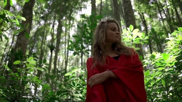 ALFA - il filo rosso