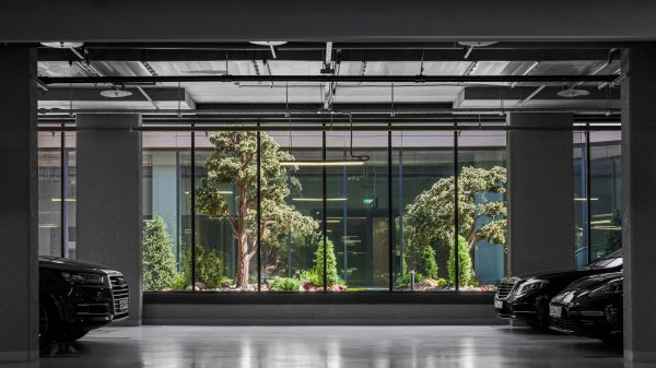 BOTANICALS - НАСТОЯЩИЙ ЛЕС НА ПАРКОВКЕ в ЖК AQUATORIA, Москва