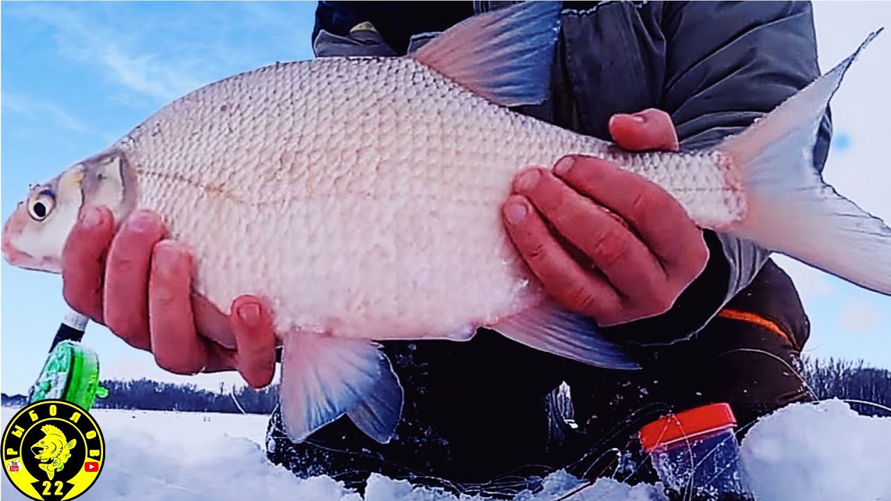 Это не лещ-это лопата . Трофей нашей рыбалки .mp4