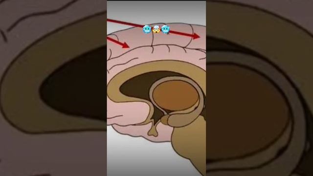 check out our YouTube channel for more information #science #viral #virel смотреть онлайн