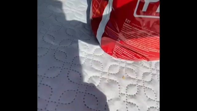 Как правильно кушать чипсы🤔 смотреть онлайн
