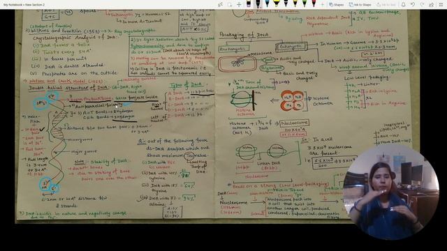 DNA  STRUCTURE(Double Helical Model) #Molecular Basis Of Inheritance #NEET And CBSE 12th