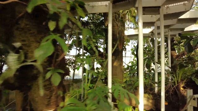 The Meise Botanic Garden 🇧🇪 Belgium - Virtual Walking Tour [4K] episode 9 смотреть онлайн
