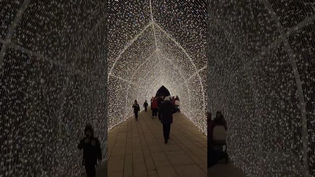 парк галицкого, Огромная новогодняя арка из гирлянд в Краснодаре смотреть онлайн