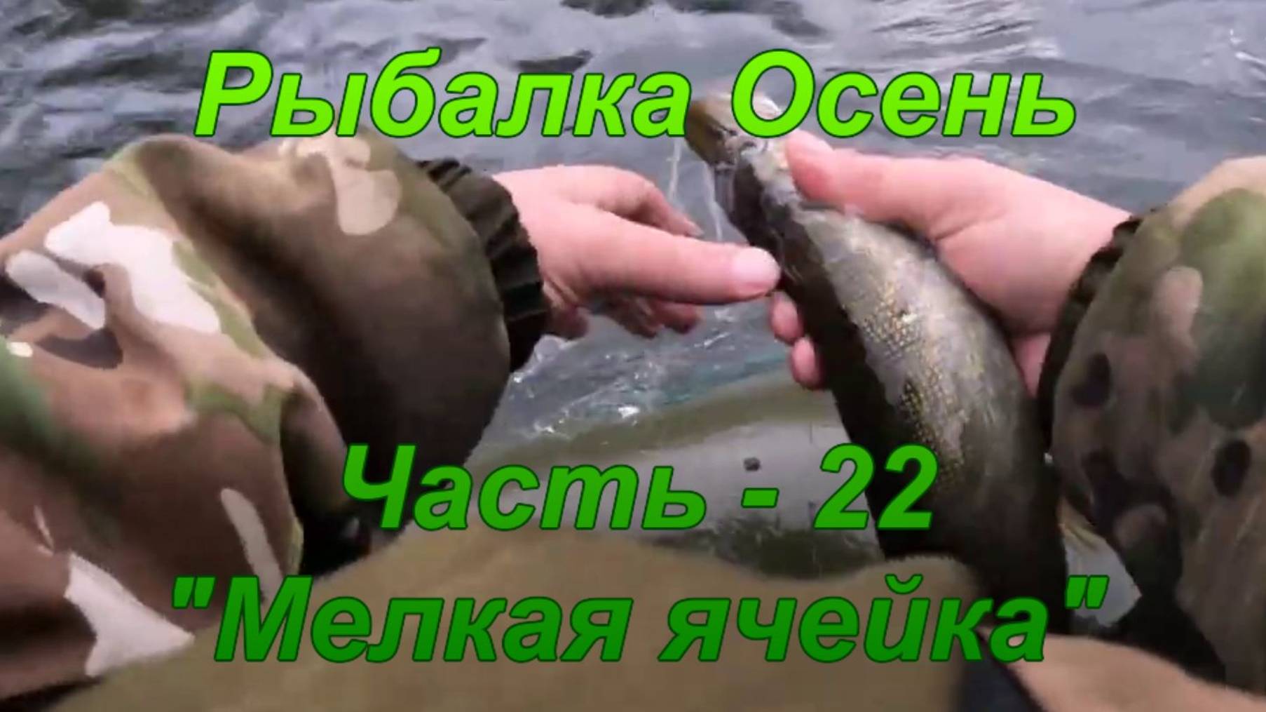 Рыбалка. Осень. Часть - 22 "Мелкая ячейка". смотреть онлайн