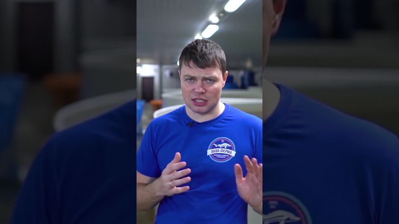 Подводные камни в грантах смотреть онлайн