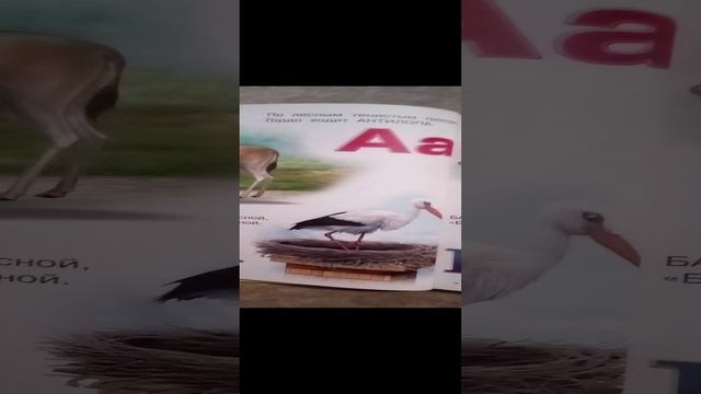 1000002903.mp4 смотреть онлайн