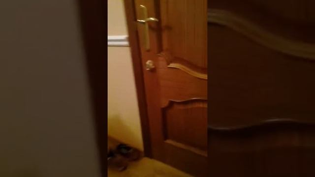 Мы засилились смотреть онлайн