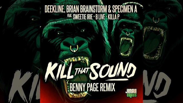 Kill That Sound (Benny Page Remix)