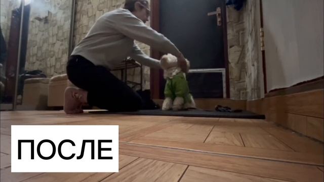 Результат обучения на курсе "Искусство общения с собакой" смотреть онлайн
