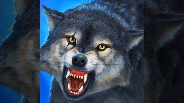 Кому нравится ВОЛК то смотрите! ❤😘 смотреть онлайн