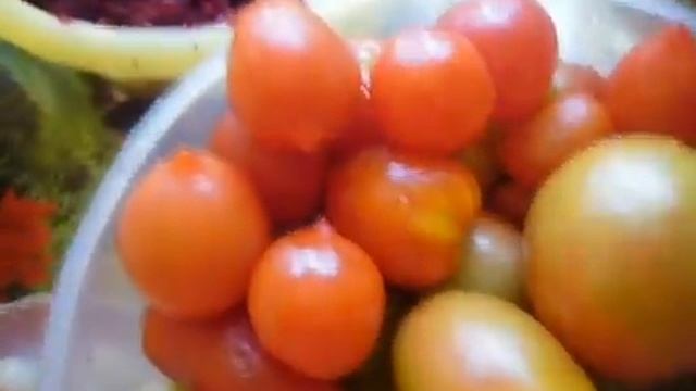 Икра свекольная с интригой. смотреть онлайн