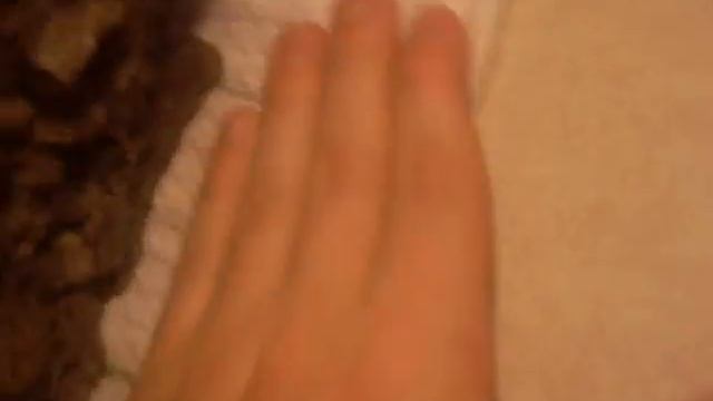 Meteorite or Meteorwrong? смотреть онлайн