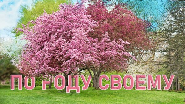 По роду своему