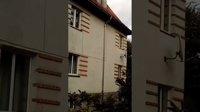 La lucru cinstit în polonia. смотреть онлайн