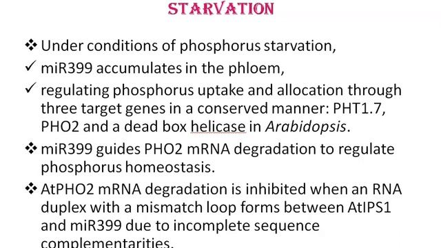 Specialized Mechanisms For Phosphorus Uptake in Plants смотреть онлайн