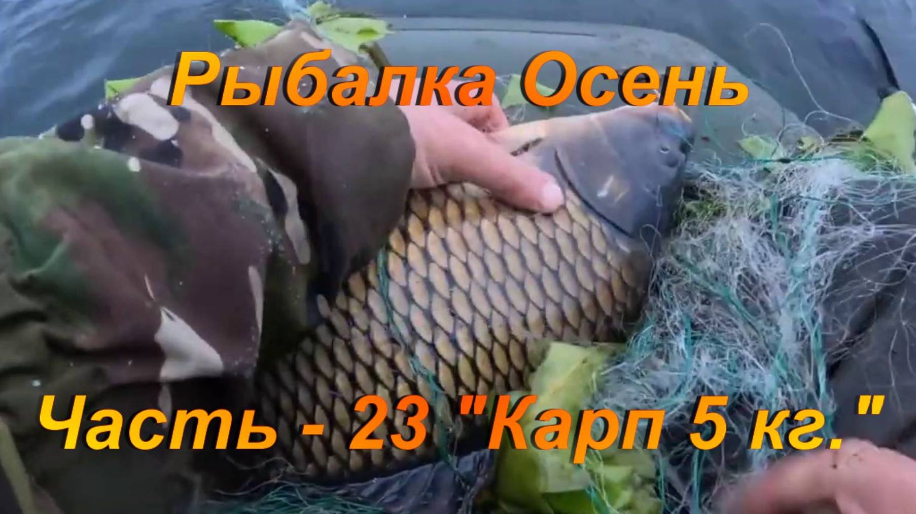 Рыбалка. Осень. Часть - 23 "Карп 5 кг.". смотреть онлайн