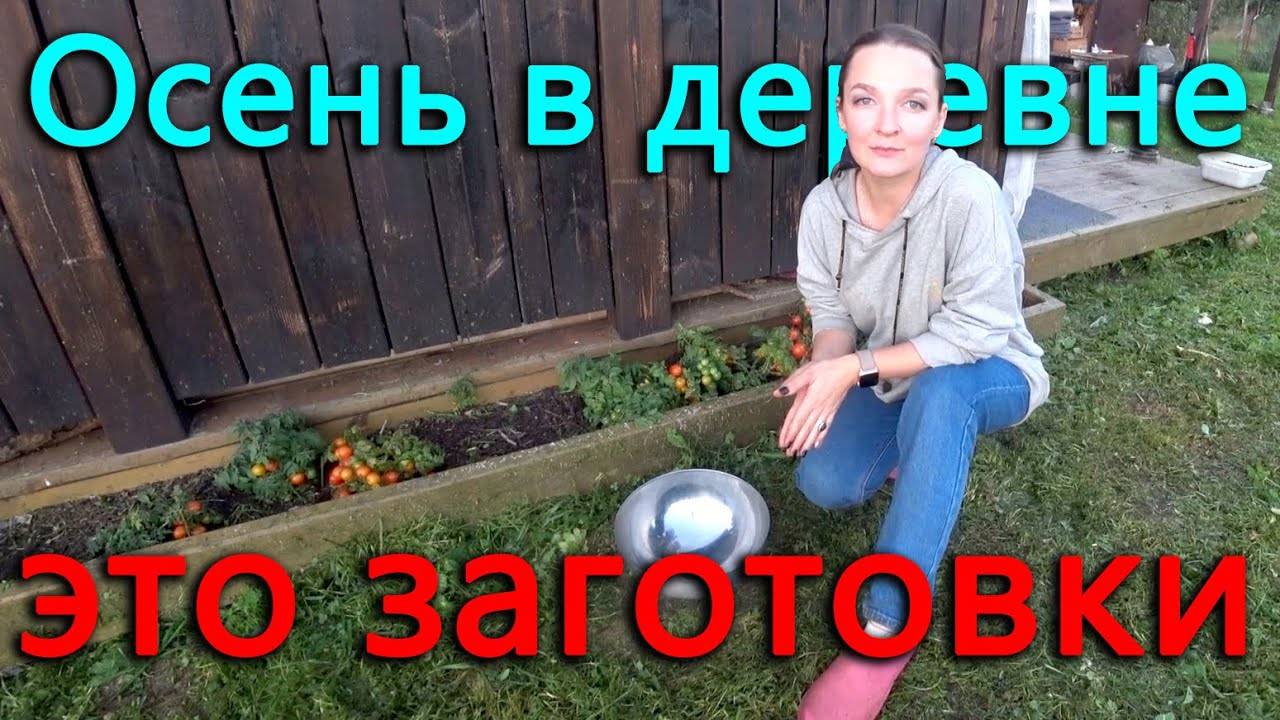 Сохраняем наши урожаи на зиму. смотреть онлайн