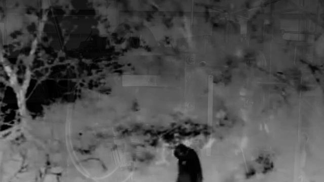KONTINENT - Pakt Regress (STASIS) смотреть онлайн