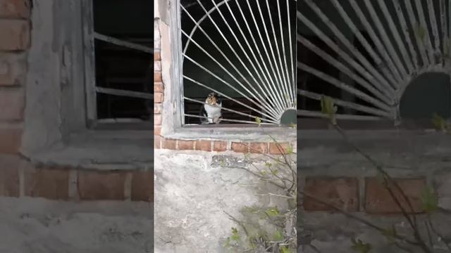 Заброшка в Абхазии смотреть онлайн