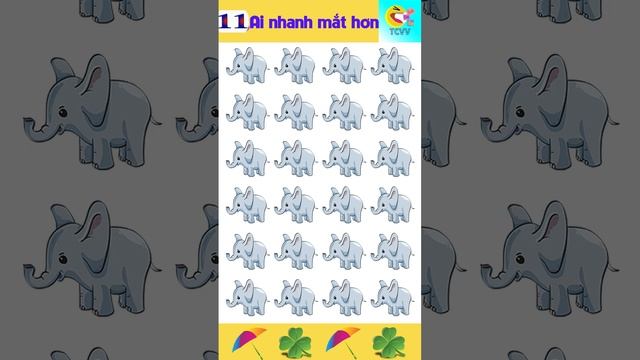 chú voi nào khác biệt? смотреть онлайн