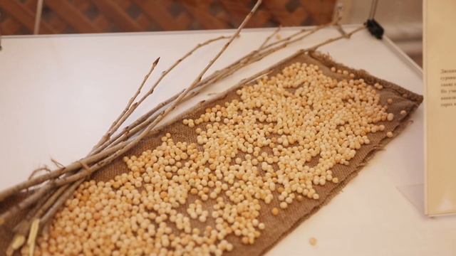 Выставка к году учителя и наставника | Матвей Филиппов смотреть онлайн