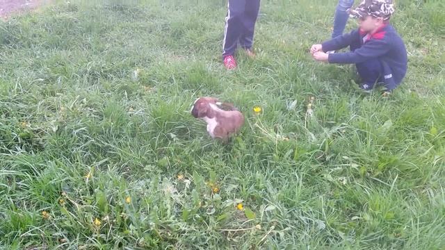 20150523 184111 смотреть онлайн