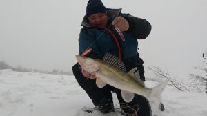 Лютая рыбалка на вибы! Обской коряжник дал больше, чем ждали!