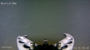 Погонялся за лещём.mp4
QYSEA FIFISH v6s Expert