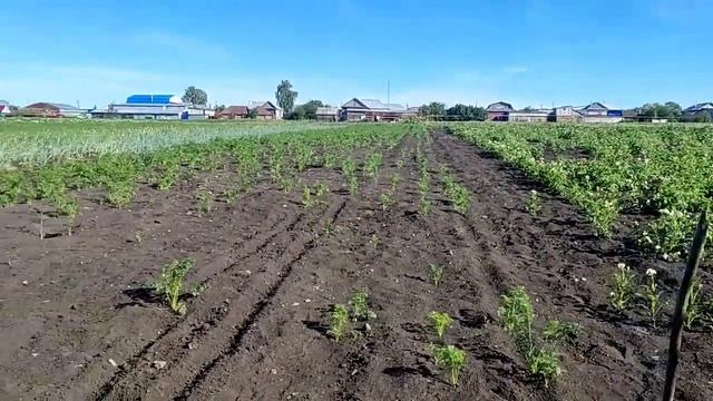 Deko. Аккумуляторный опрыскиватель. 12 литров, 8 а/ час смотреть онлайн