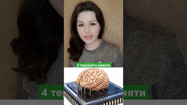 ФАКТЫ ПРО МОЗГ #shorta