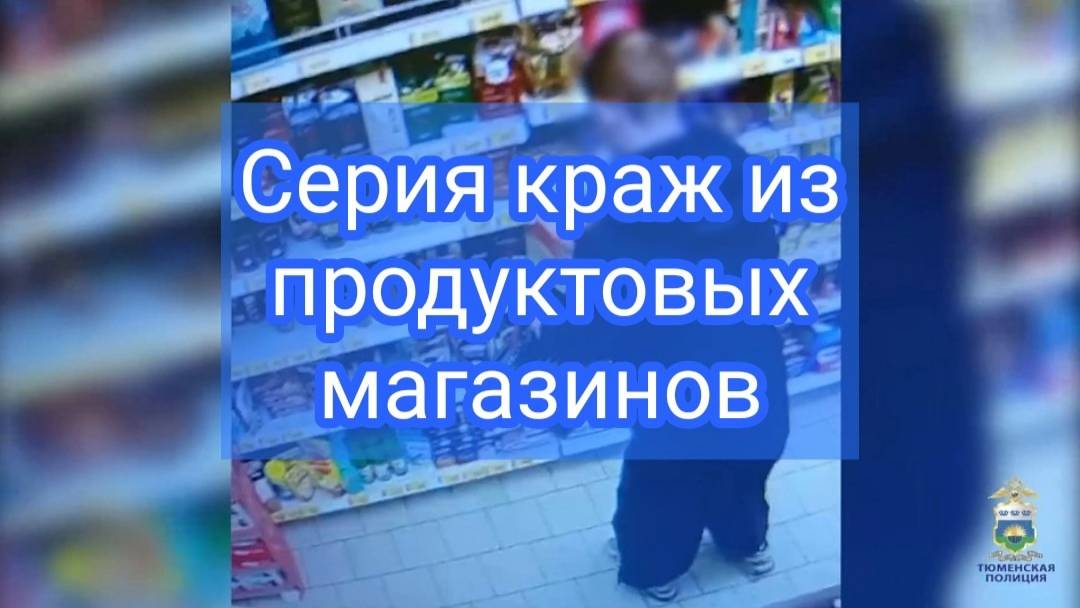 Тюменские полицейские задержали группу молодых людей, причастных к серии краж смотреть онлайн