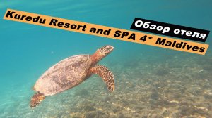 Обзор отеля Куреду Исланд Резорт 4*, Мальдивы. Hotel Kuredu Resort and SPA 4*, Maldives.