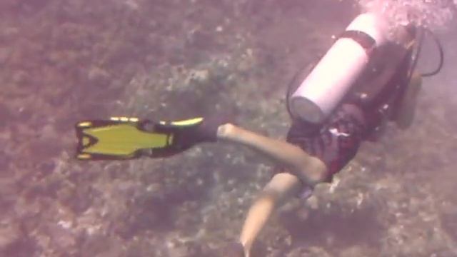 Descending during a dive at Hedonism II, Negril, Jamaica смотреть онлайн