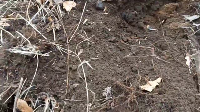 темір қаздым |МД4030 | ақшасы адал смотреть онлайн
