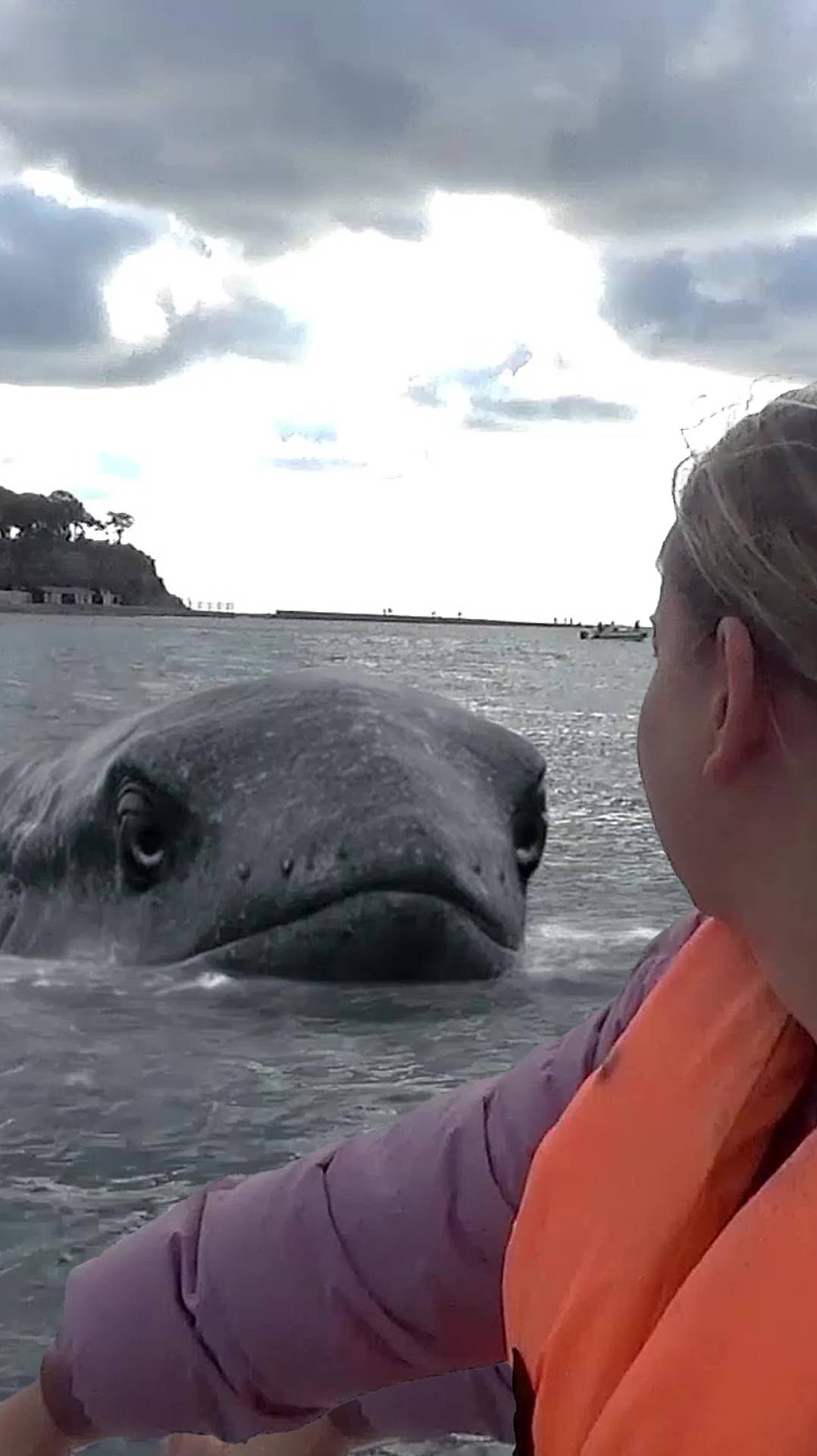 Анапа. Случаи на рыбалке
😱 смотреть онлайн