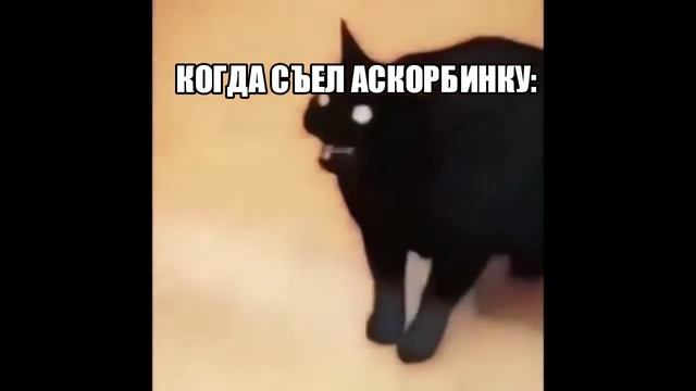 кот заглючил смотреть онлайн