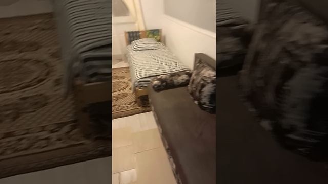 video_2024-12-16_18-36-21 смотреть онлайн
