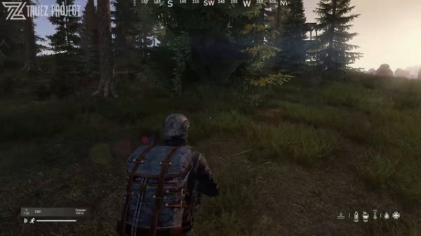 ОХОТНИК ЧЕРНОГО ЛЕСА! TRUEZ PROJECT - DAYZ! #2