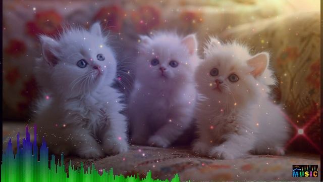ПРОСТО ХОРОШАЯ МУЗЫКА и три кота