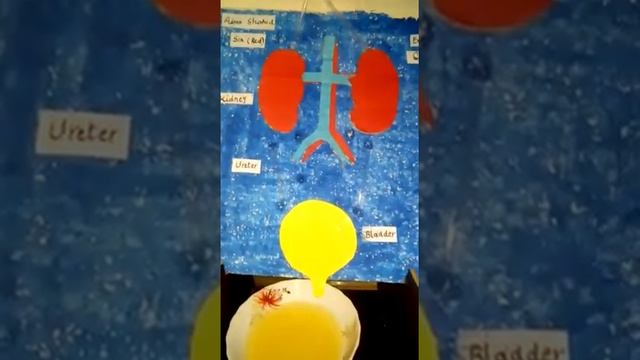 Grade-6 Red Science Presentation Presented by Asma Shahid смотреть онлайн