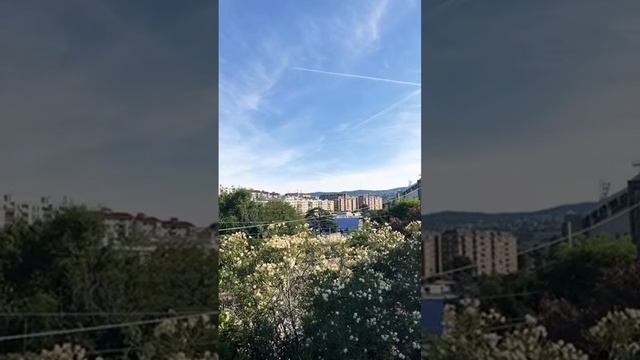 BUONGIORNO! COME SUPERARE IL GIUDIZIO DEGLI ALTRI? Trieste смотреть онлайн