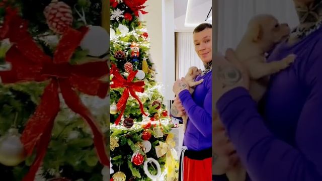 12 декабря 2022 г. смотреть онлайн